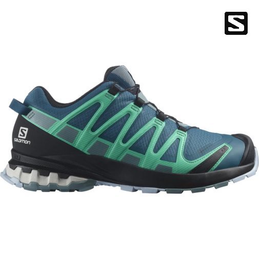 Blue / Turquoise Salomon Xa Pro 3d V8 GTX Women's Trail Running Shoes | IE US8259